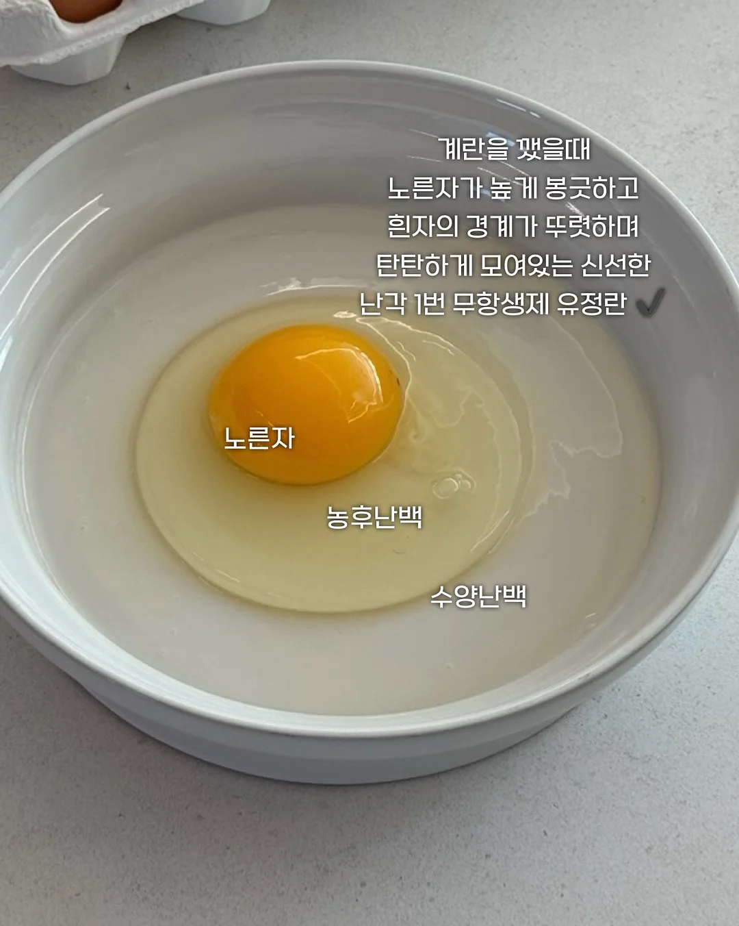 모첼 골지 니트 7