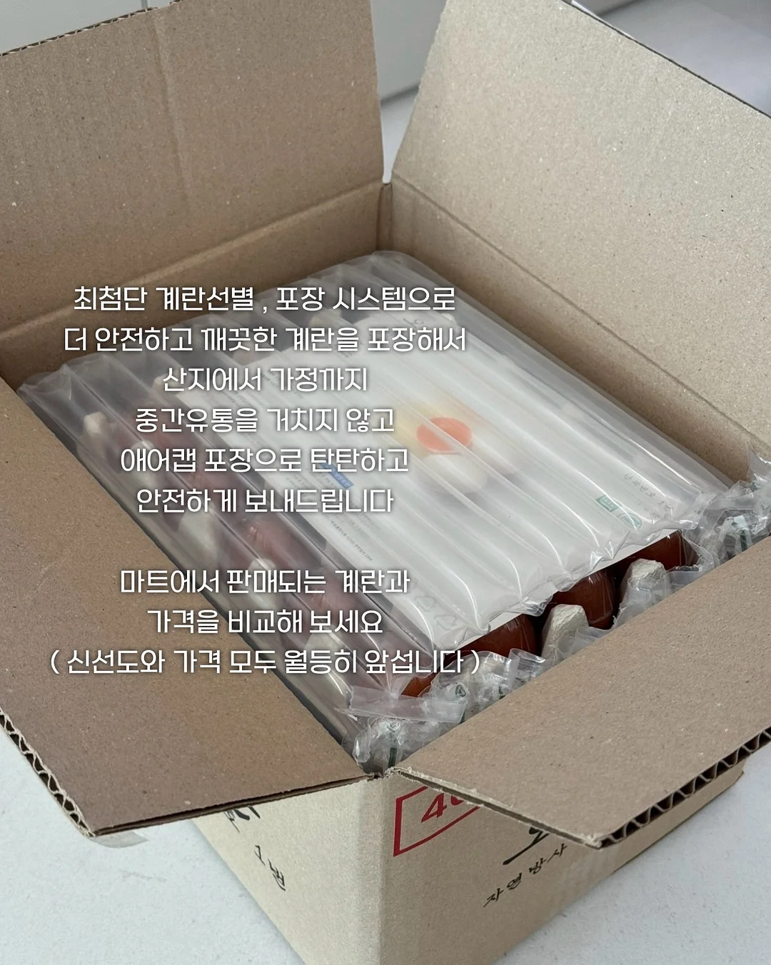 모첼 골지 니트 8