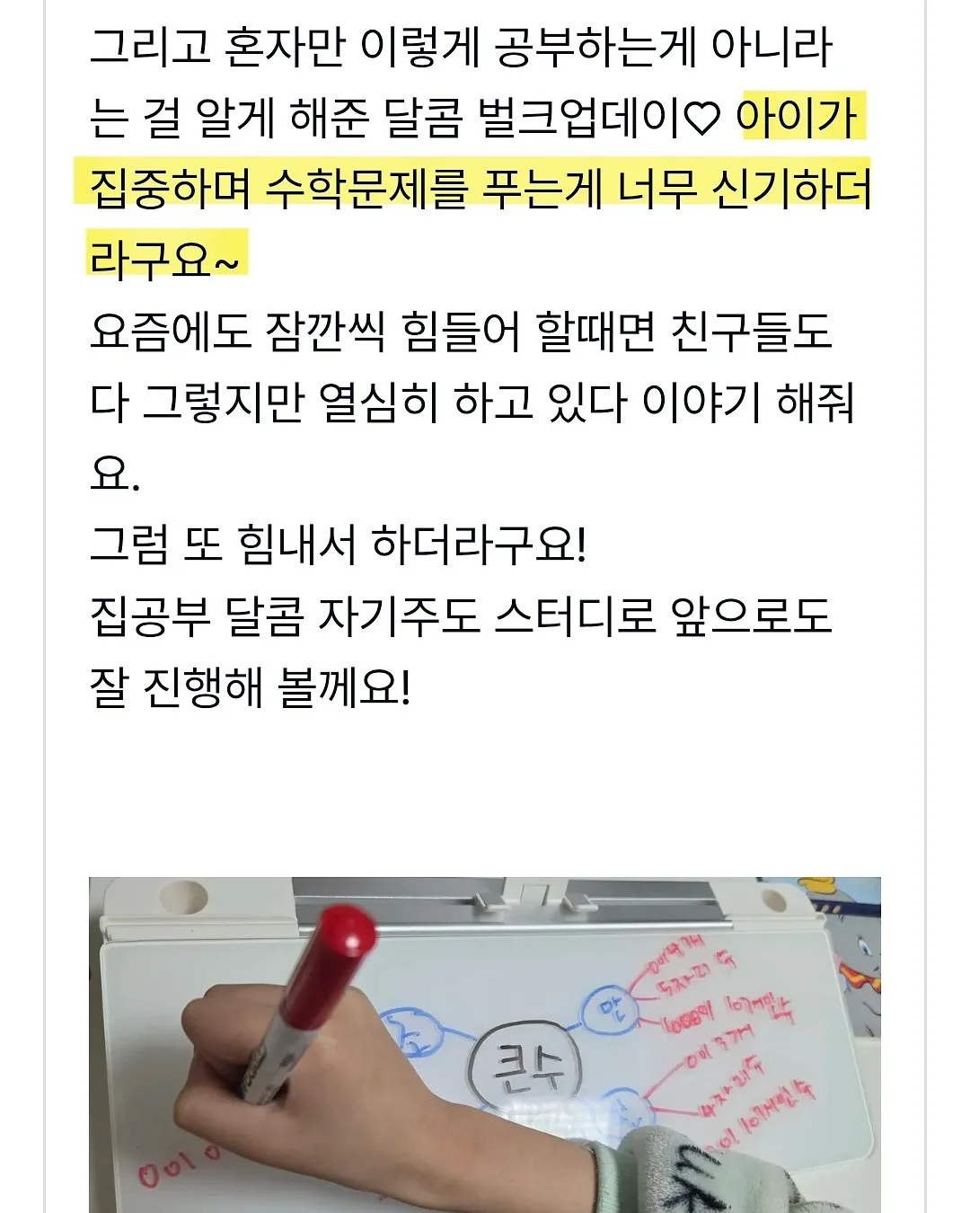 카스 라이트 x 무신사 스탠다드 스포츠 러닝 콜라보 컬렉션 3