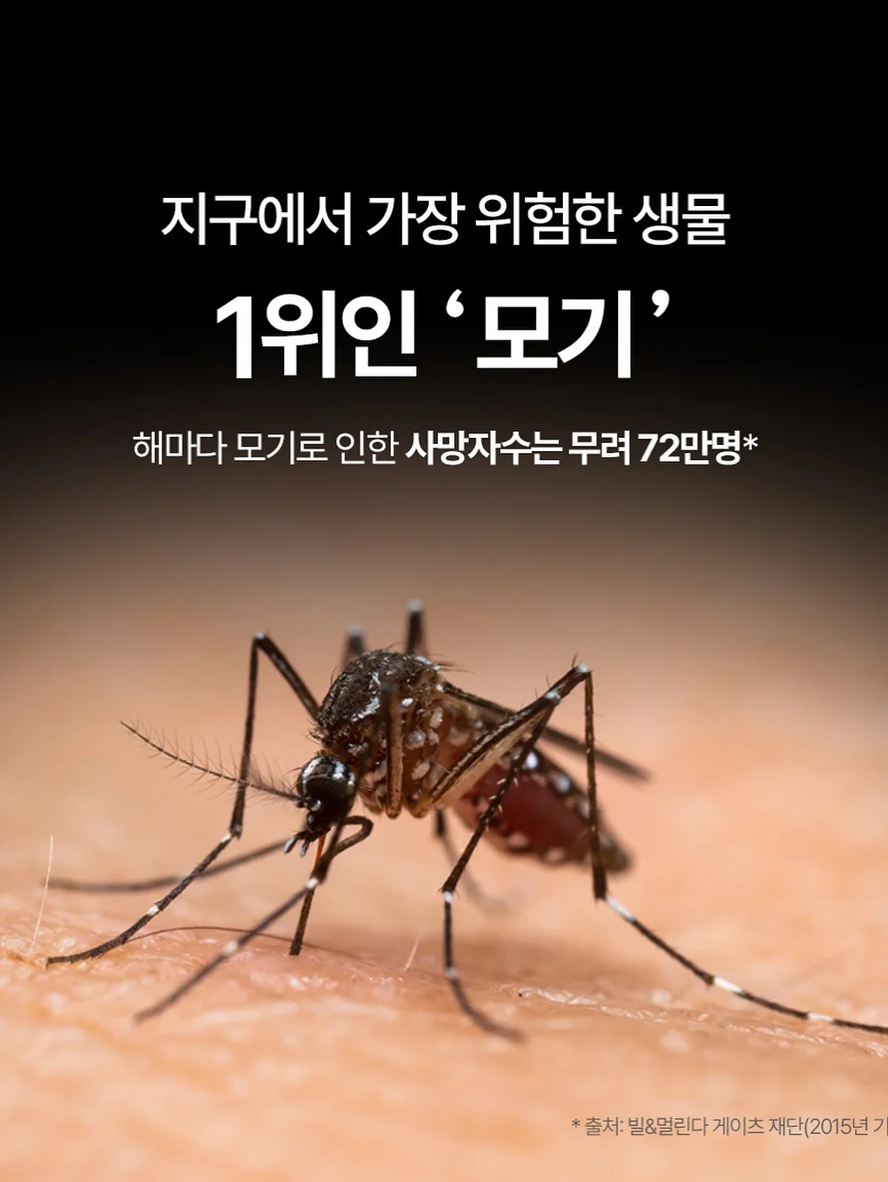 티파니민트 4
