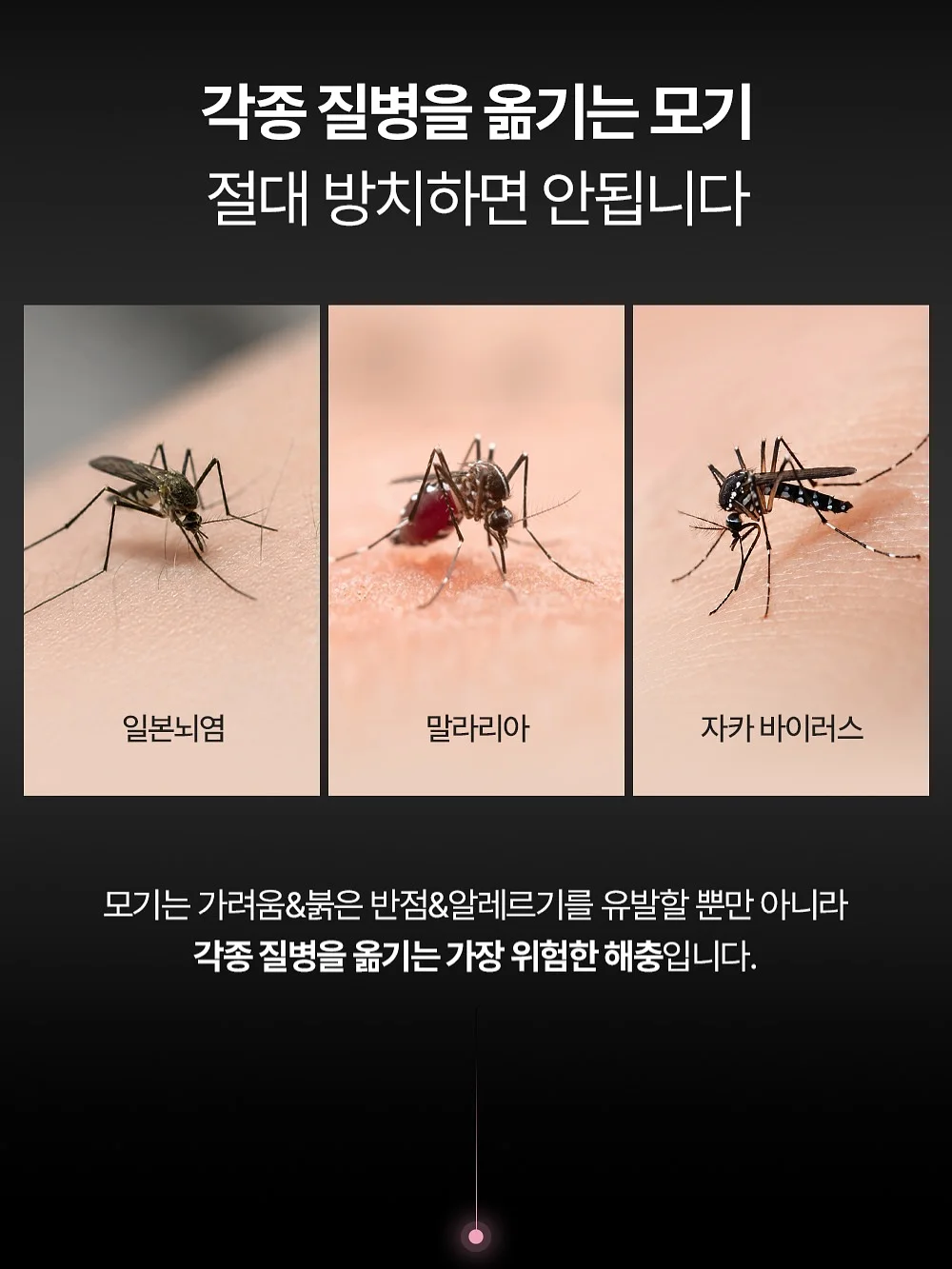 티파니민트 5