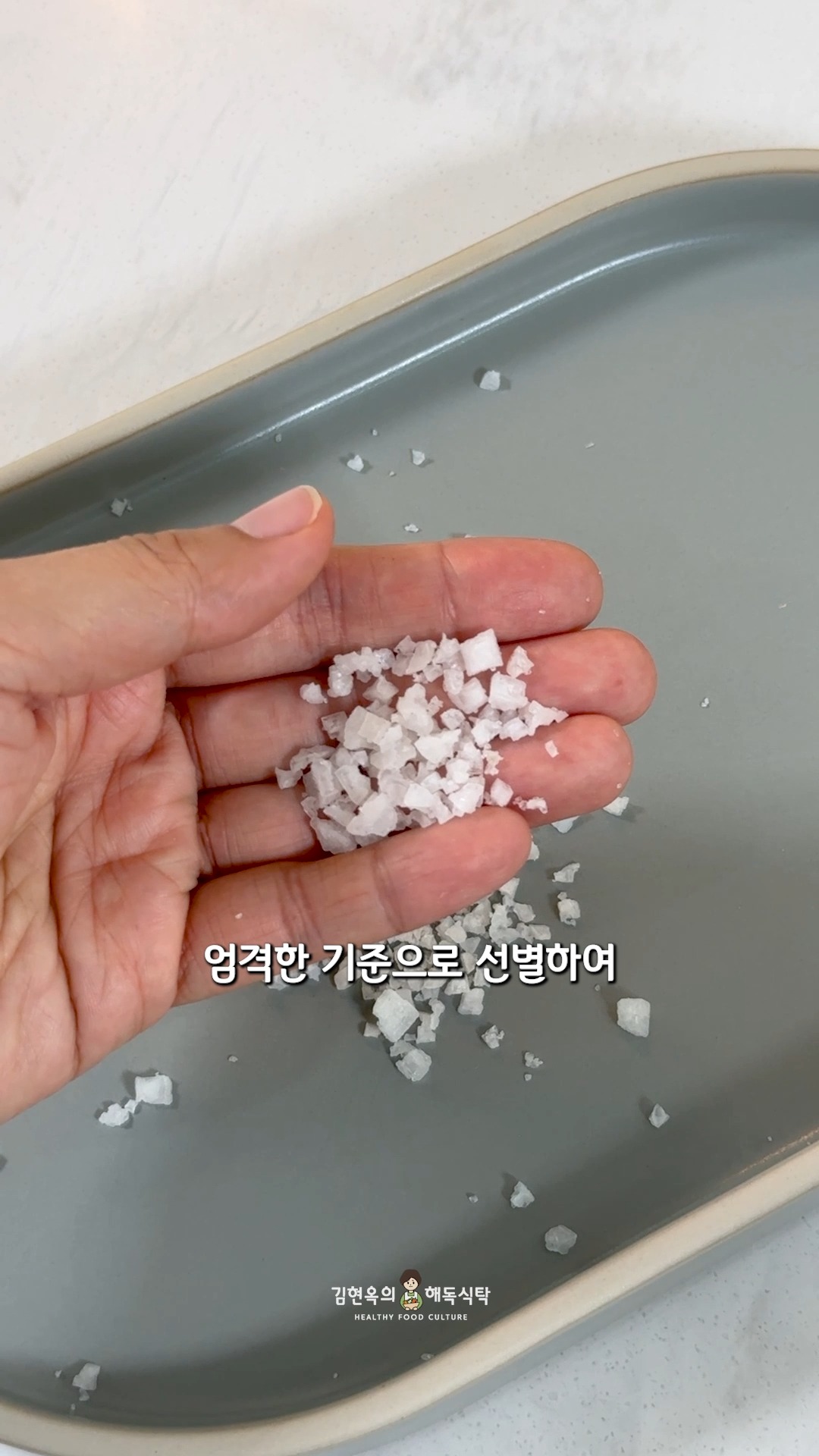 제철 과일 라이브방송