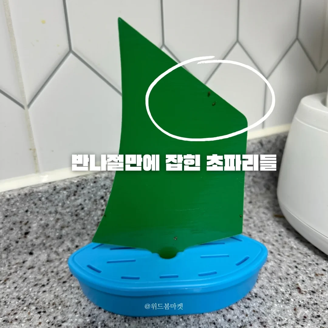 커팅볼 로프줄 목걸이 6