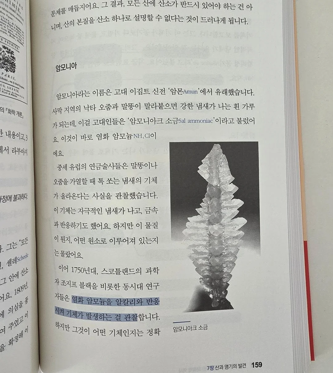 금귤 뷸수감 11