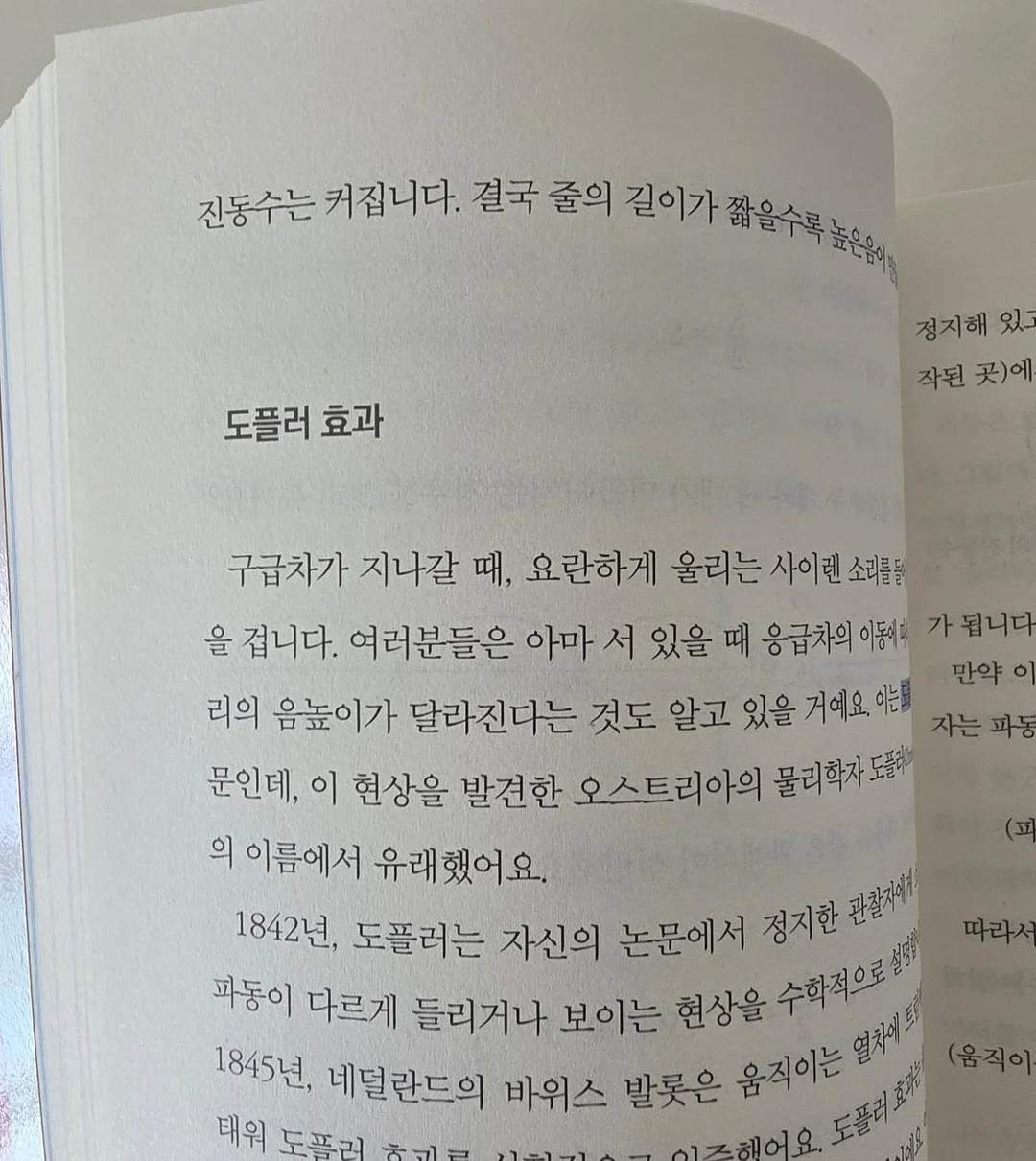 금귤 뷸수감 17