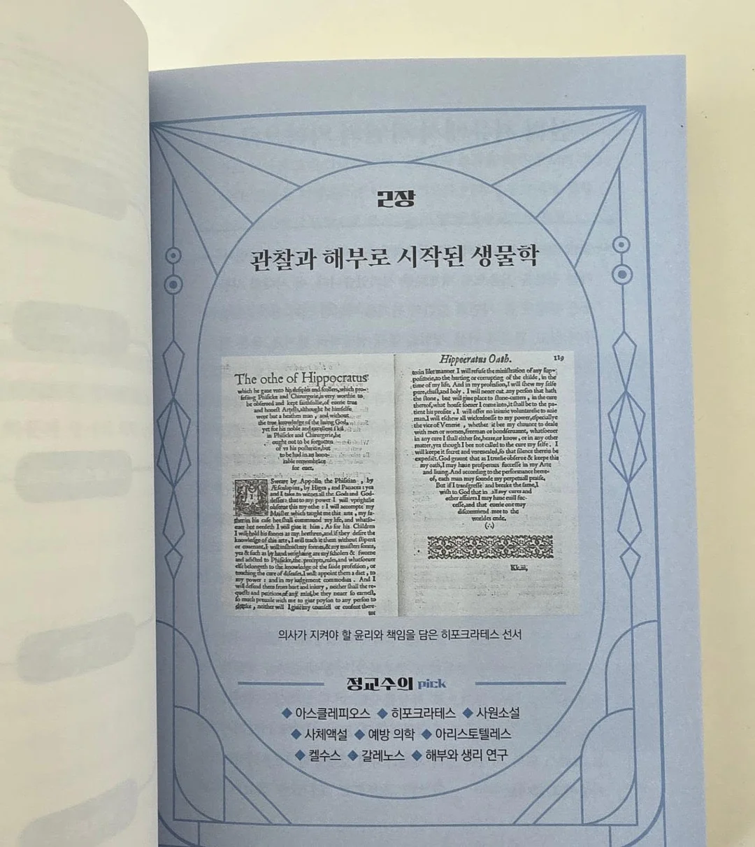 금귤 뷸수감 20