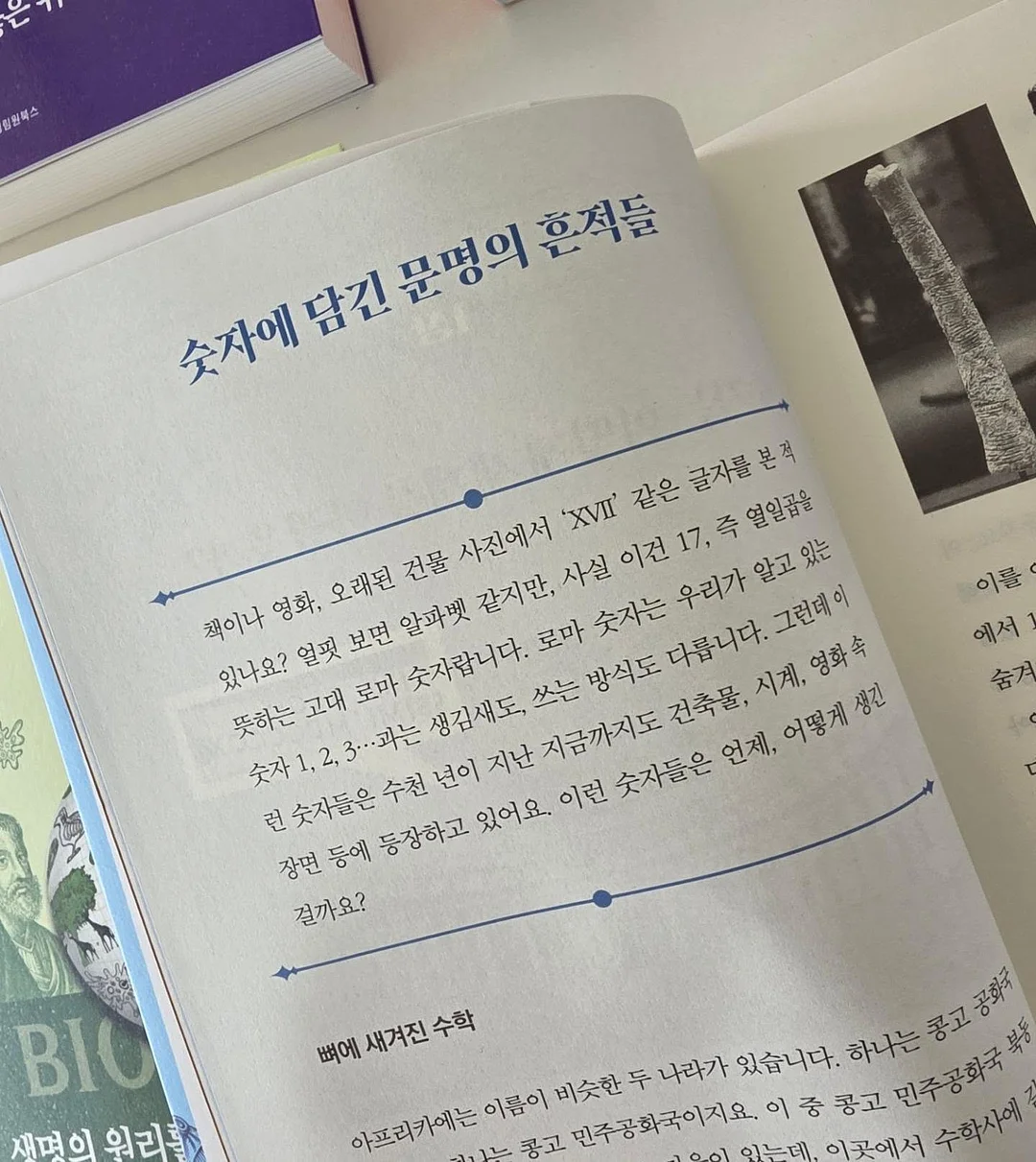 금귤 뷸수감 5