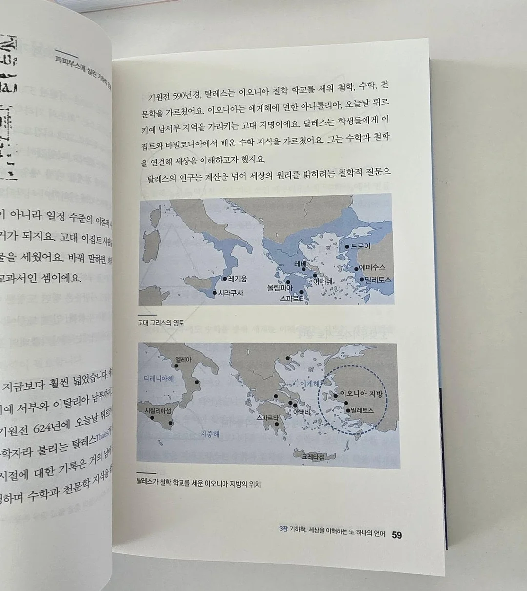 금귤 뷸수감 6