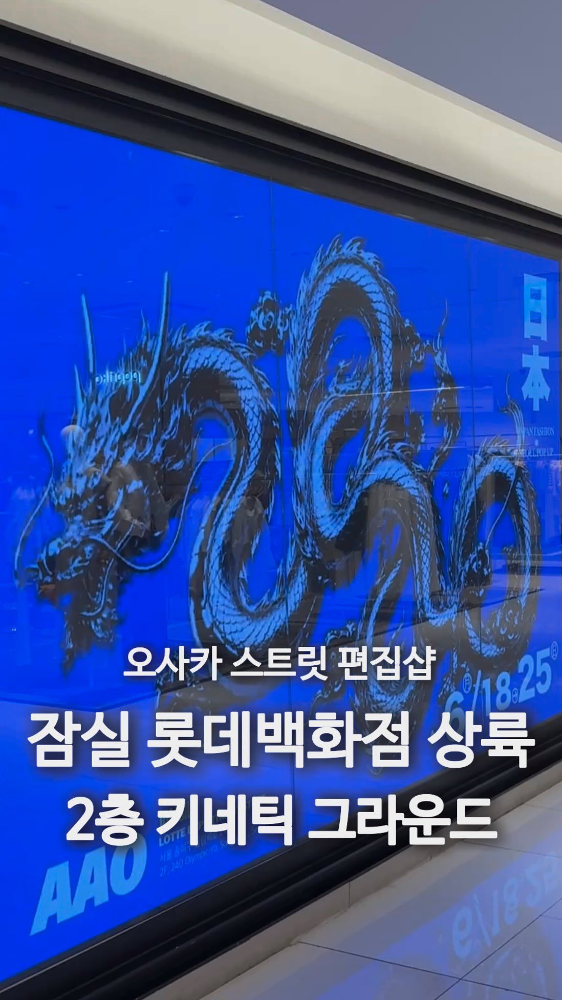 닥터파미아 배도라지 스틱