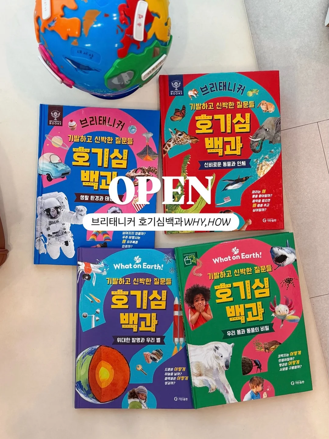 과일 우유롤케이크 1호 1