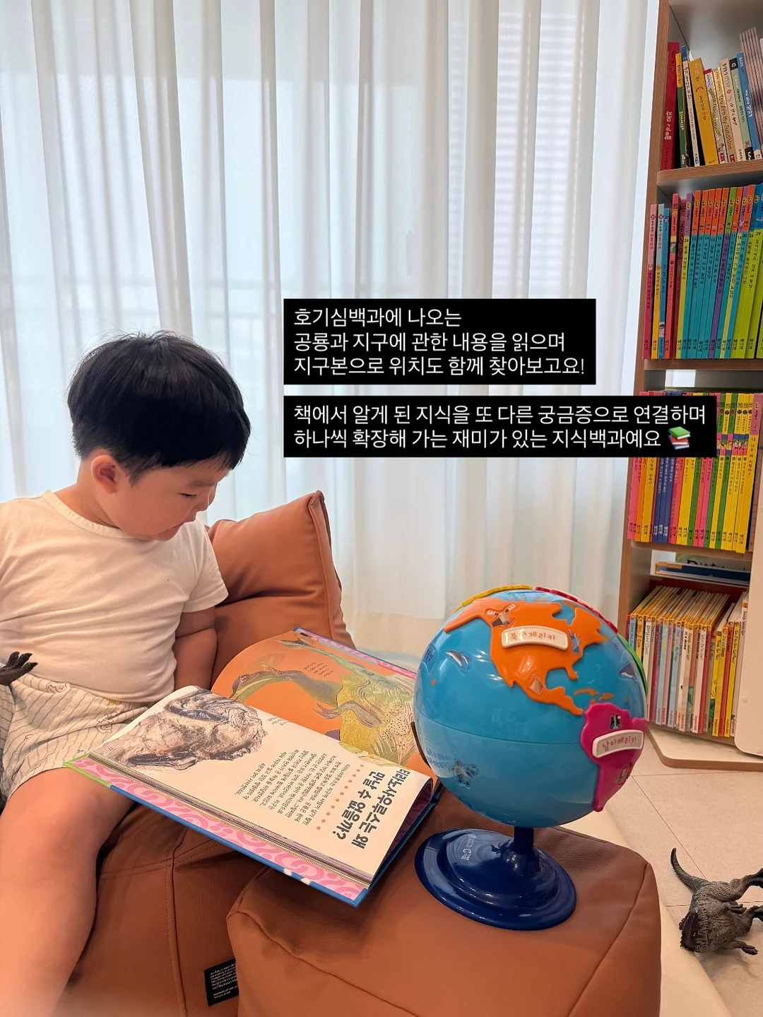 과일 우유롤케이크 1호 8