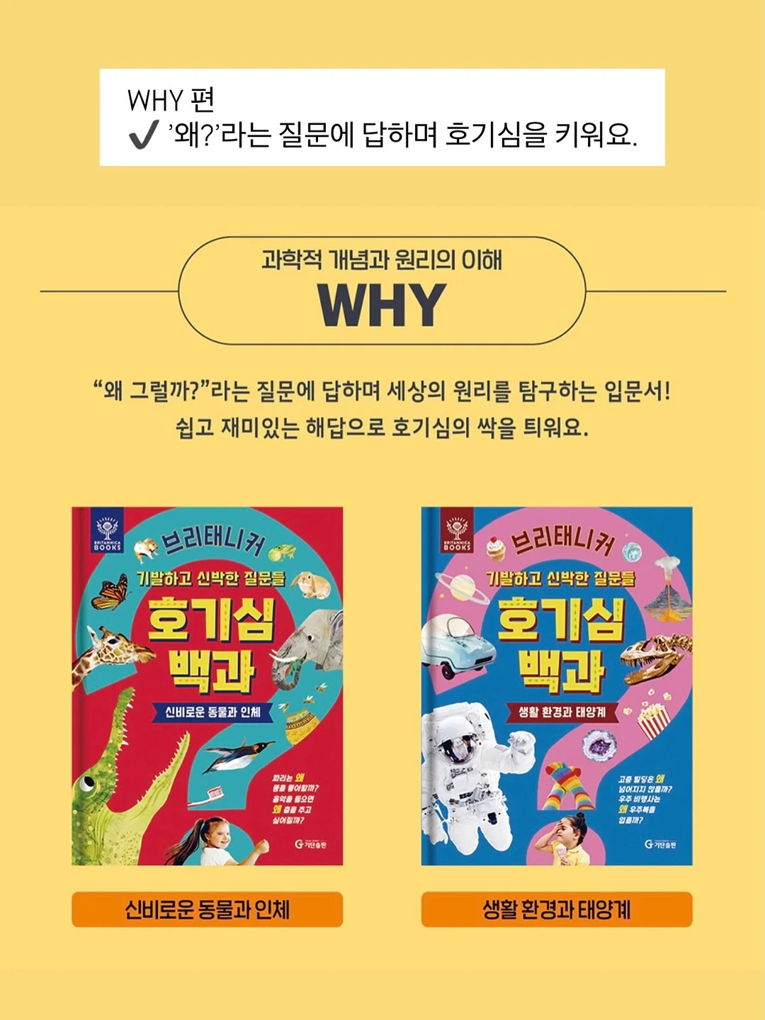 과일 우유롤케이크 1호 9