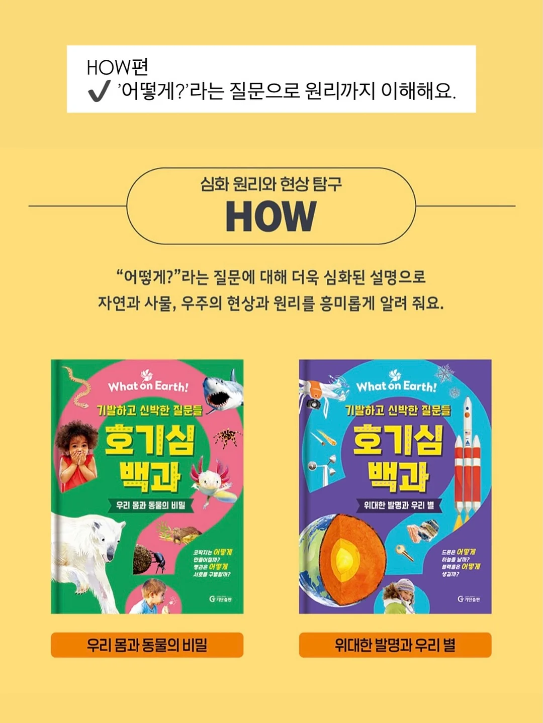 과일 우유롤케이크 1호 10