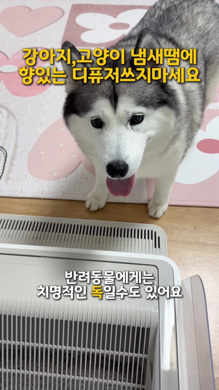 결합형 쿨링 양산