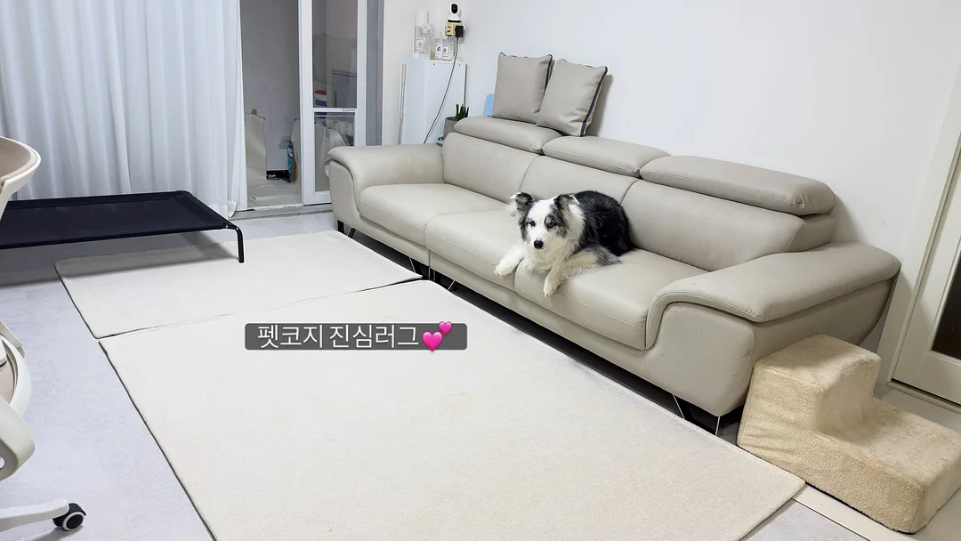 닭가슴살 모둠만두 1