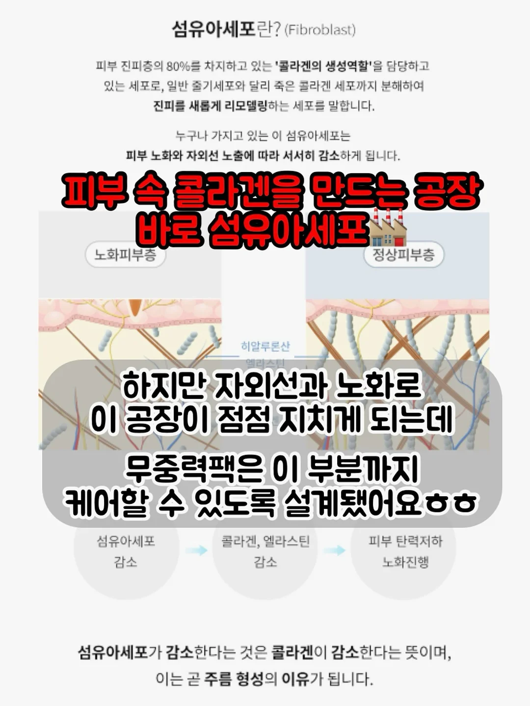 발가락 양말 6