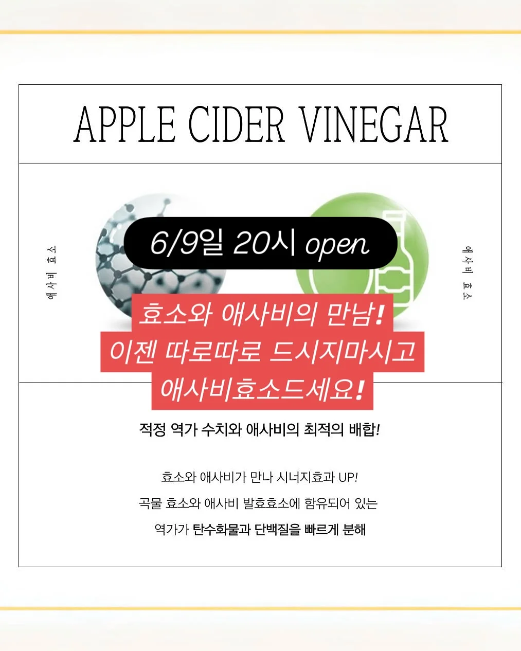 르꼬끄 스니커즈 4