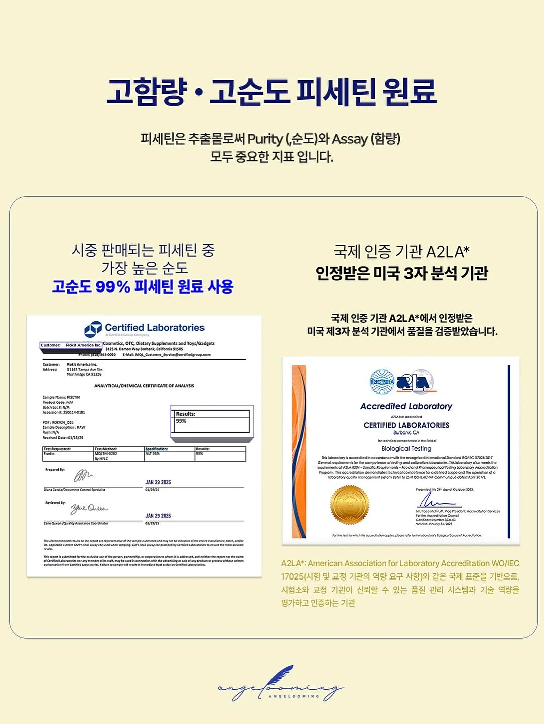 팸퍼스 터치 오브 네이처 썸머팬티 4