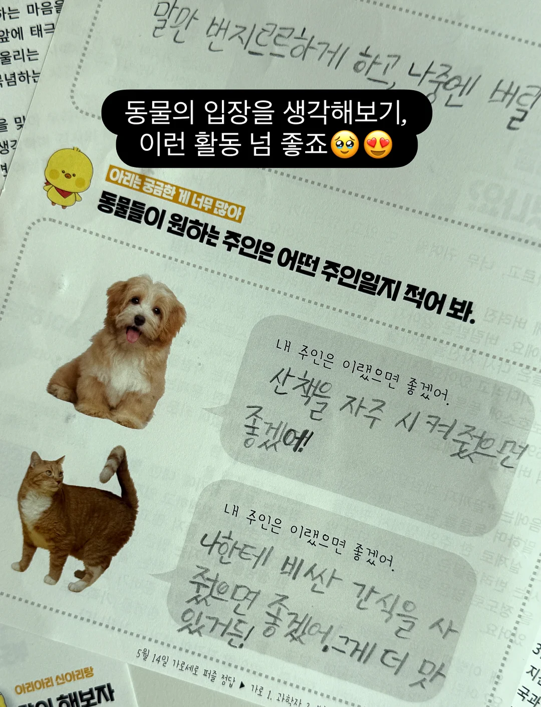 한여름 슬랙스 13