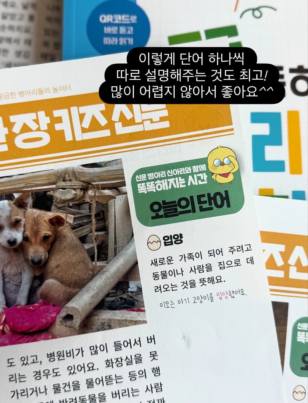 한여름 슬랙스 14