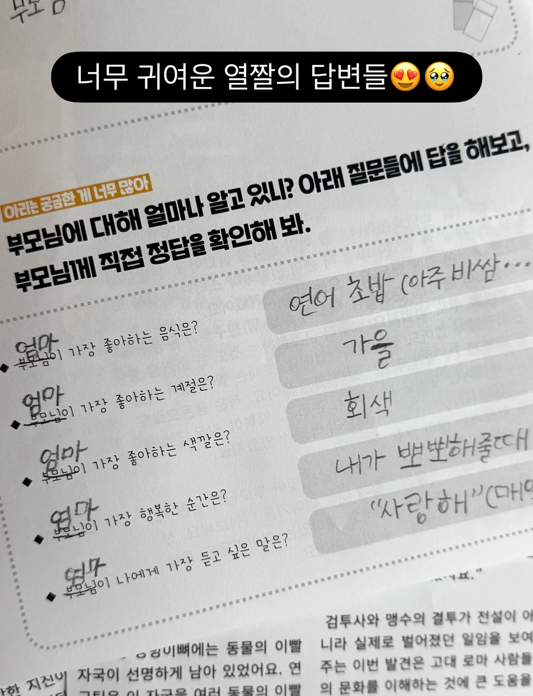 한여름 슬랙스 15