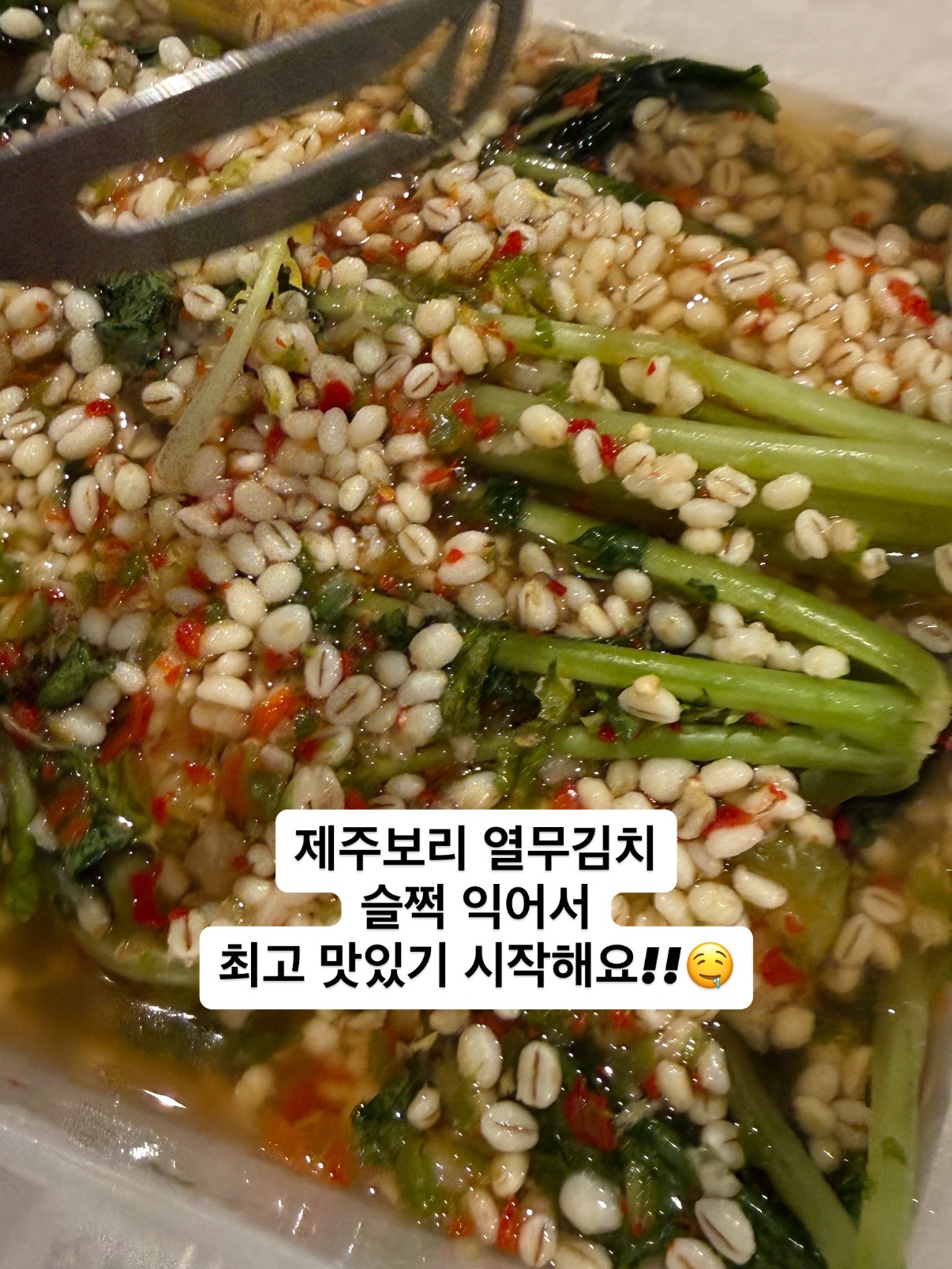 어스플러스 통합과학 학습만화 9
