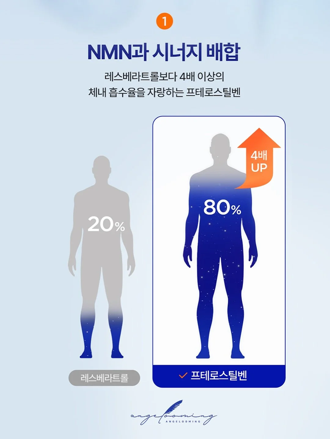 코페르 더마앰플 11