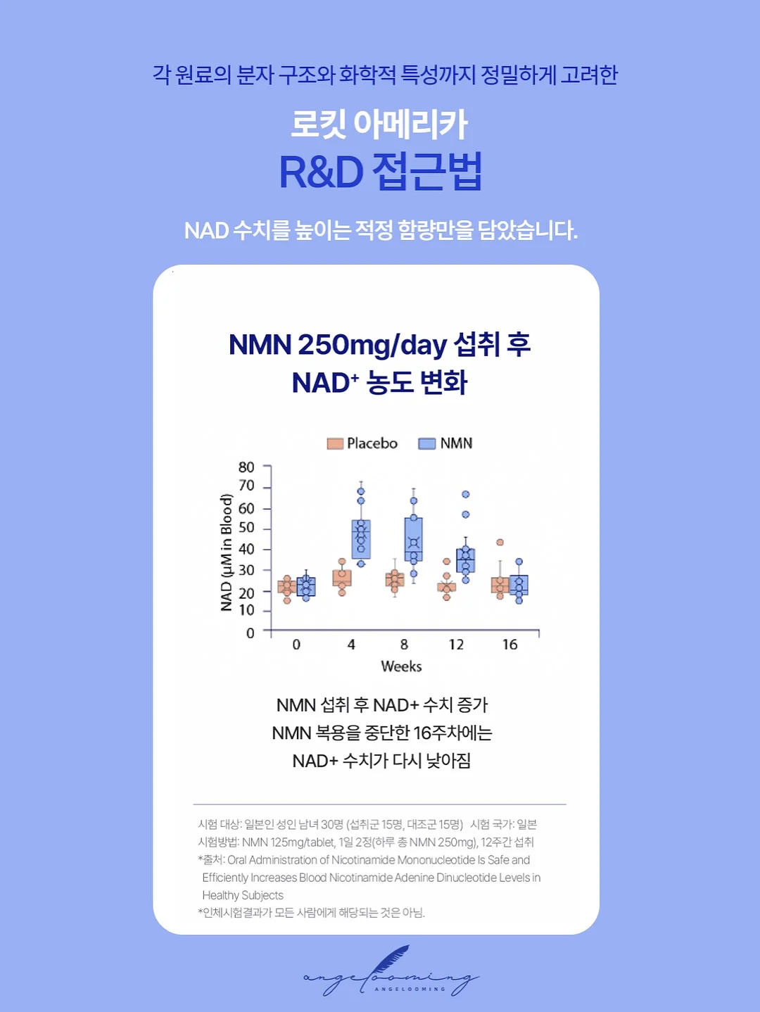 코페르 더마앰플 13