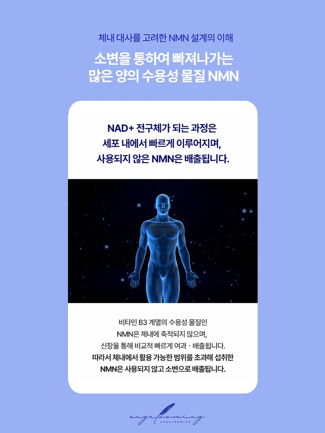 코페르 더마앰플 14