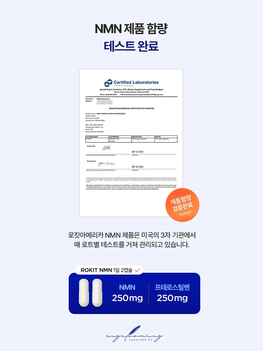 코페르 더마앰플 17
