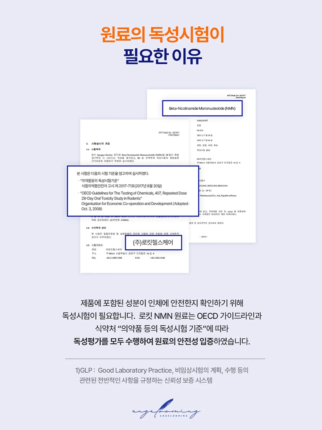 코페르 더마앰플 6