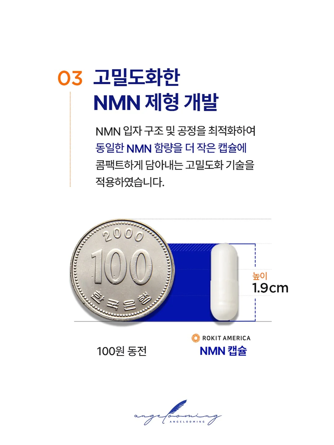 코페르 더마앰플 7