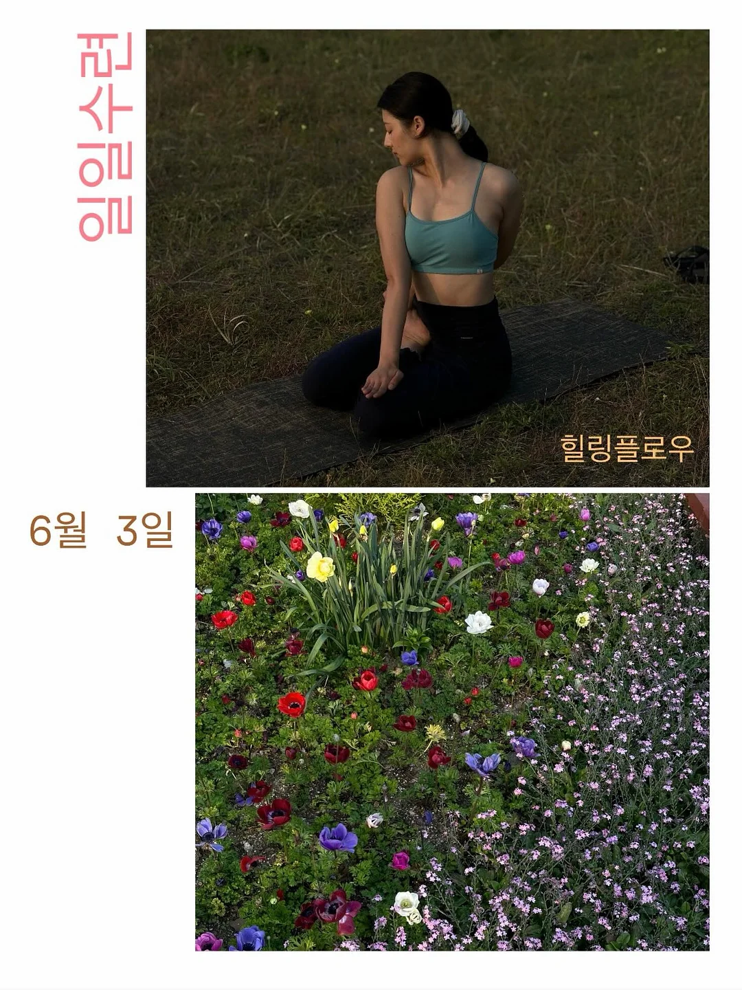 선반 양면행거
