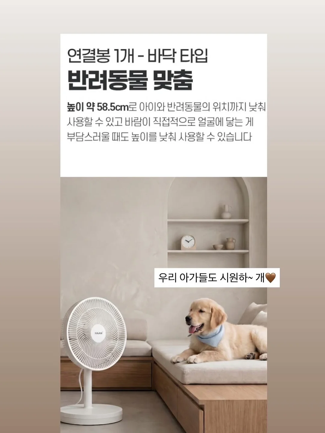 코유산균 7