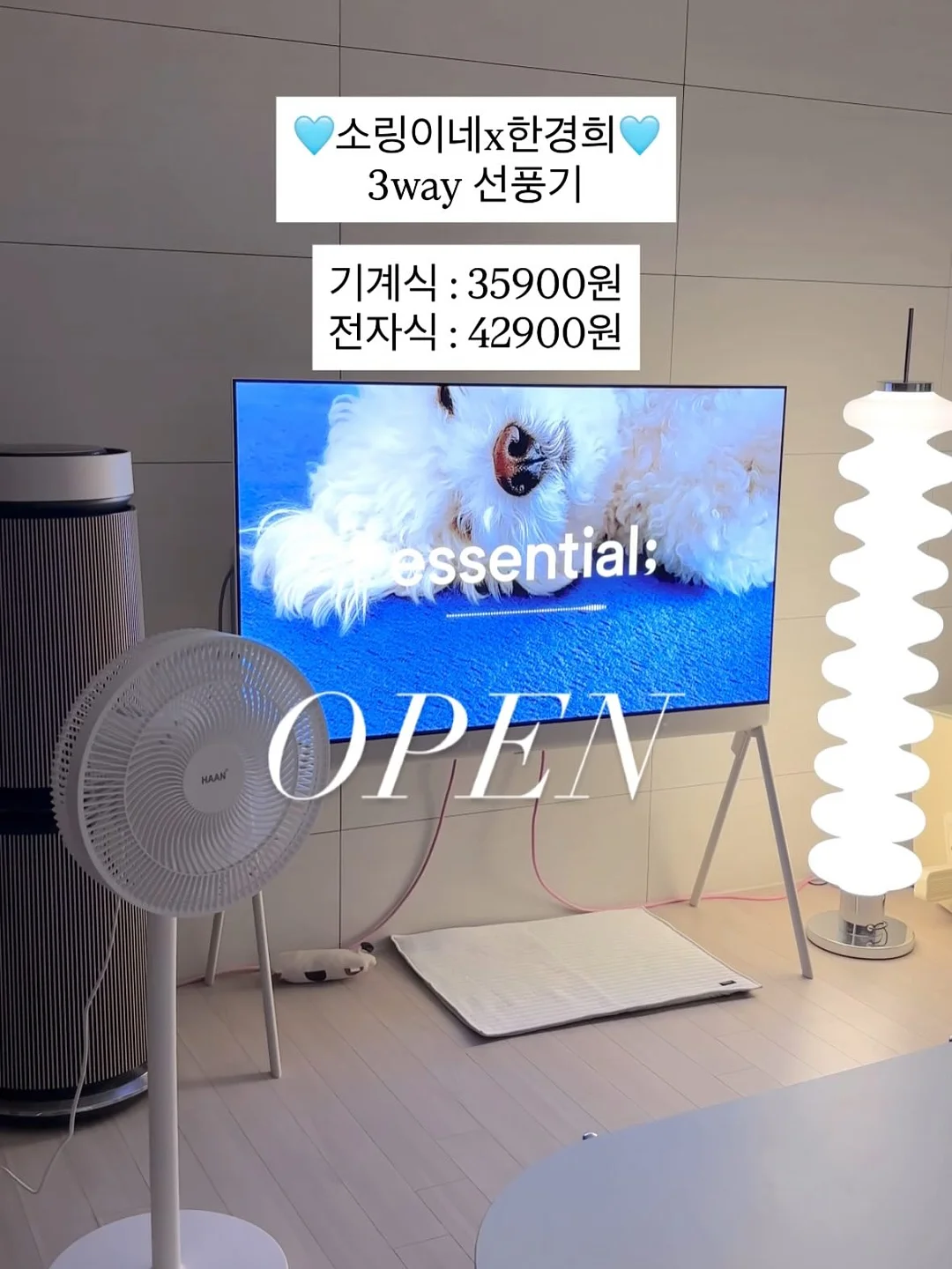 코유산균 8