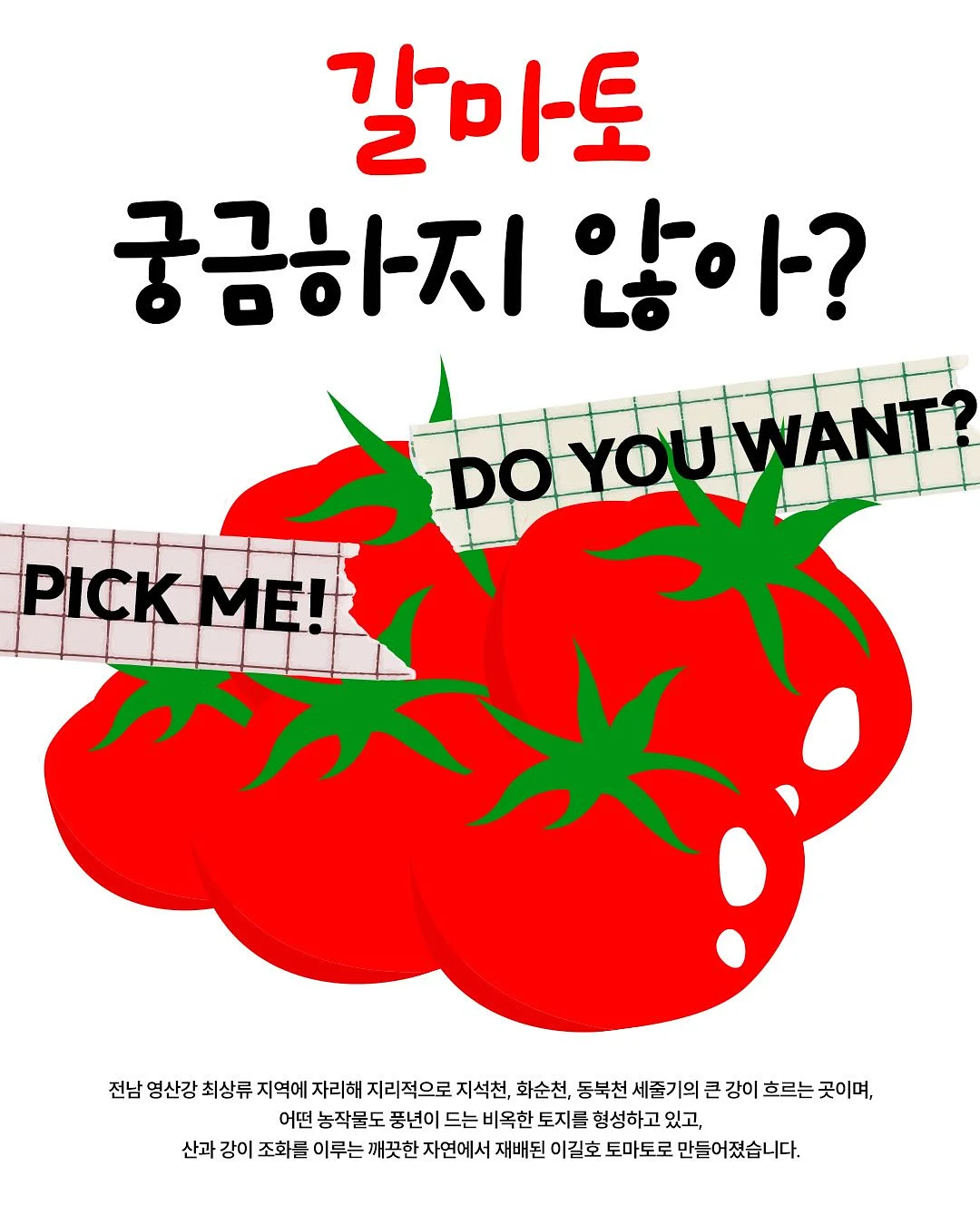 인생건어물 요거트 샤베트 1