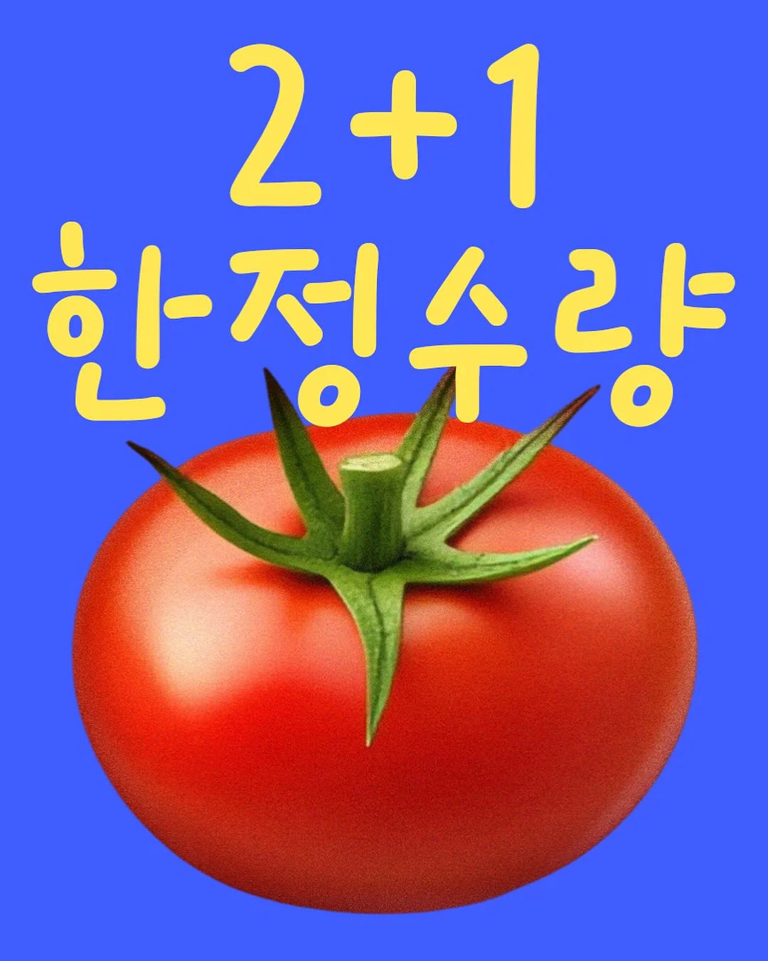 인생건어물 요거트 샤베트 2