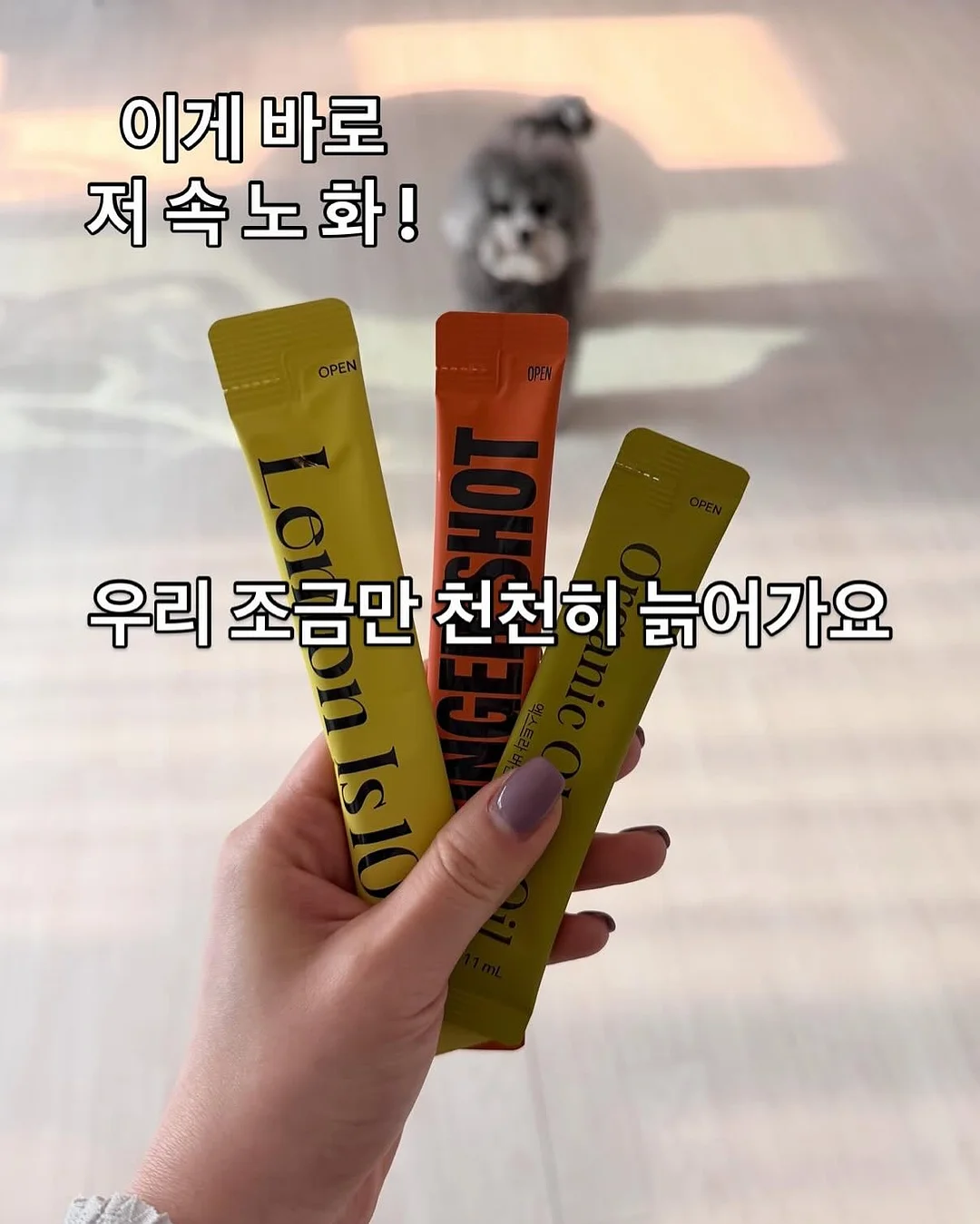 조개 해부 및 진주 키링 만들기 체험 7