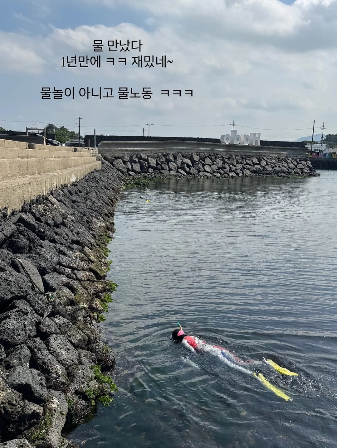 설향멜론모찌테린느 2