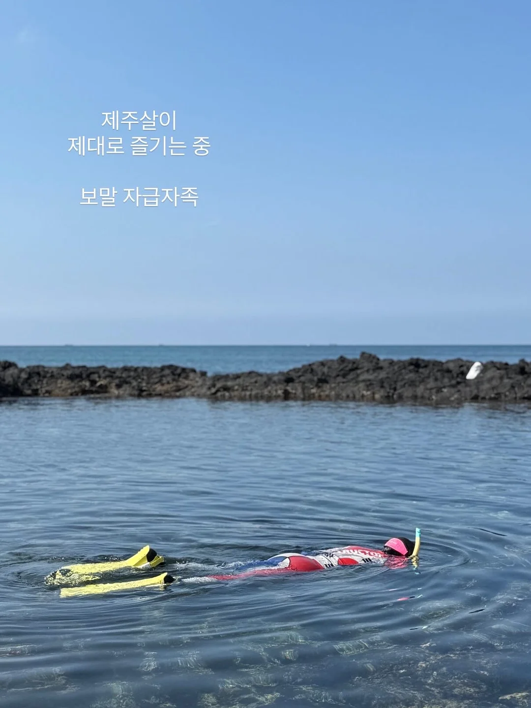 설향멜론모찌테린느 3