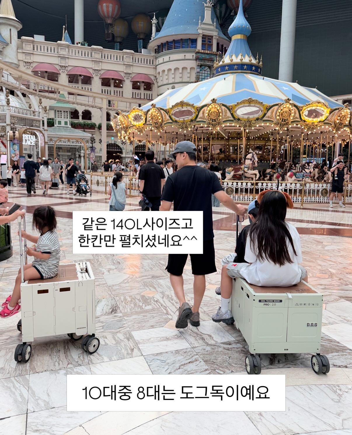 곰보배추시럽 2