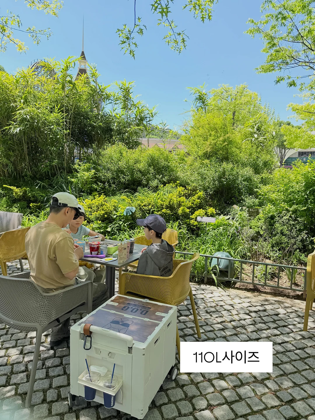 곰보배추시럽 7