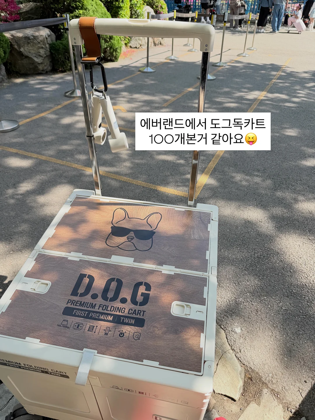 곰보배추시럽 9