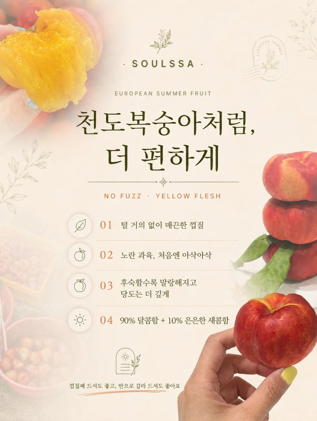 그린시스 서양배 13
