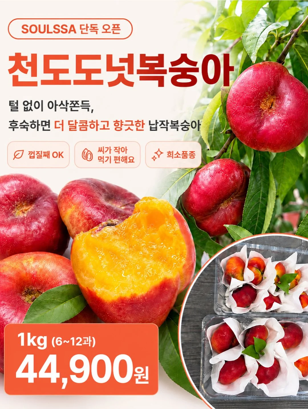 그린시스 서양배 6