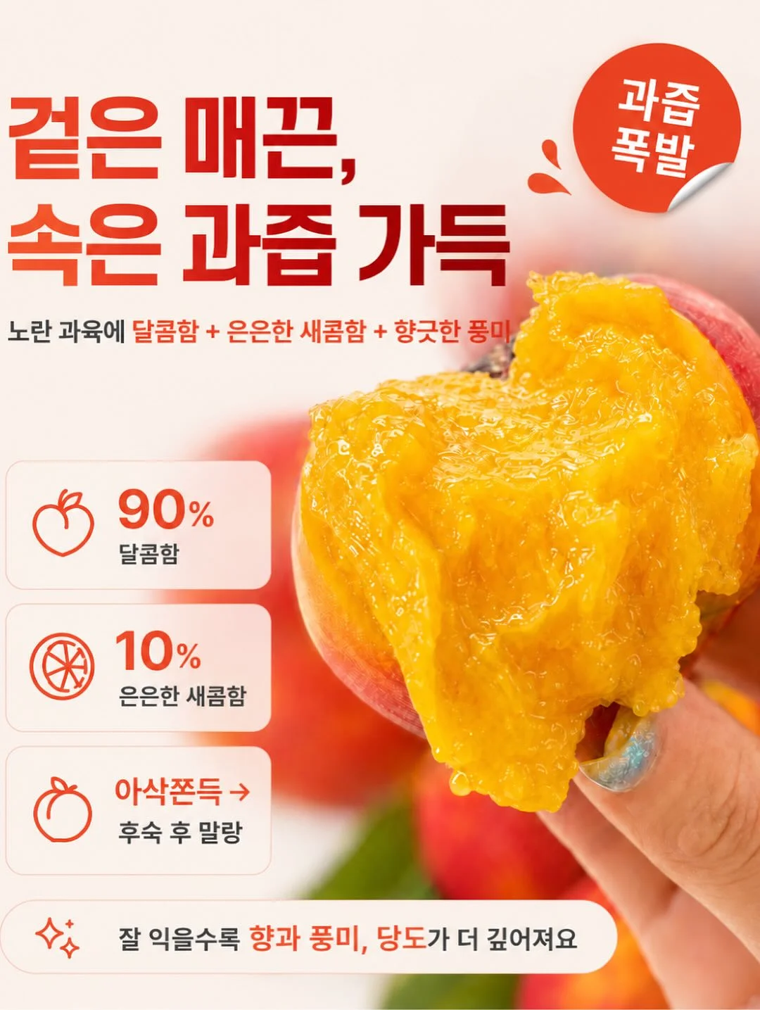 그린시스 서양배 10