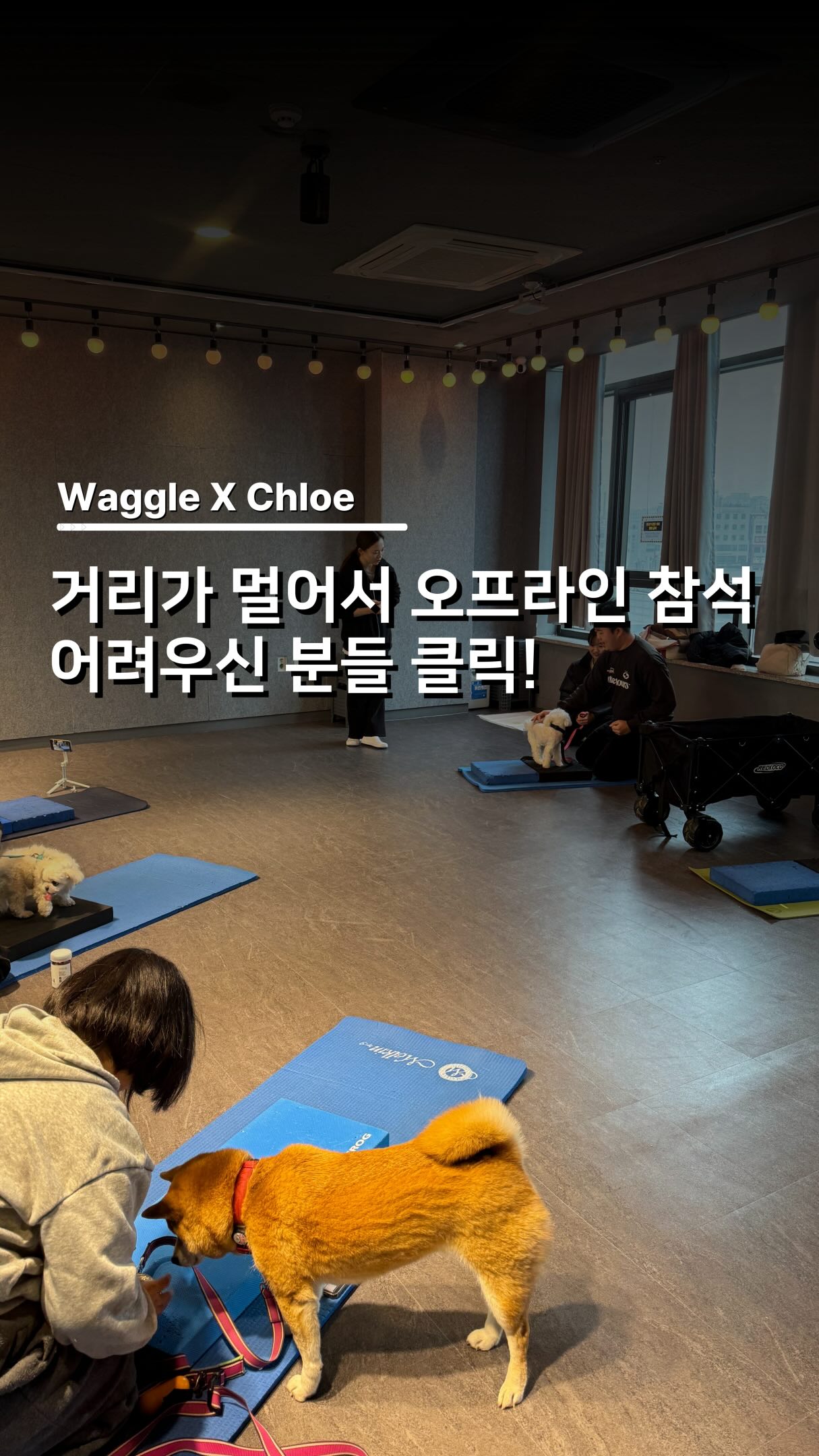 휴미 멜팅 글레이즈 립 글로즈