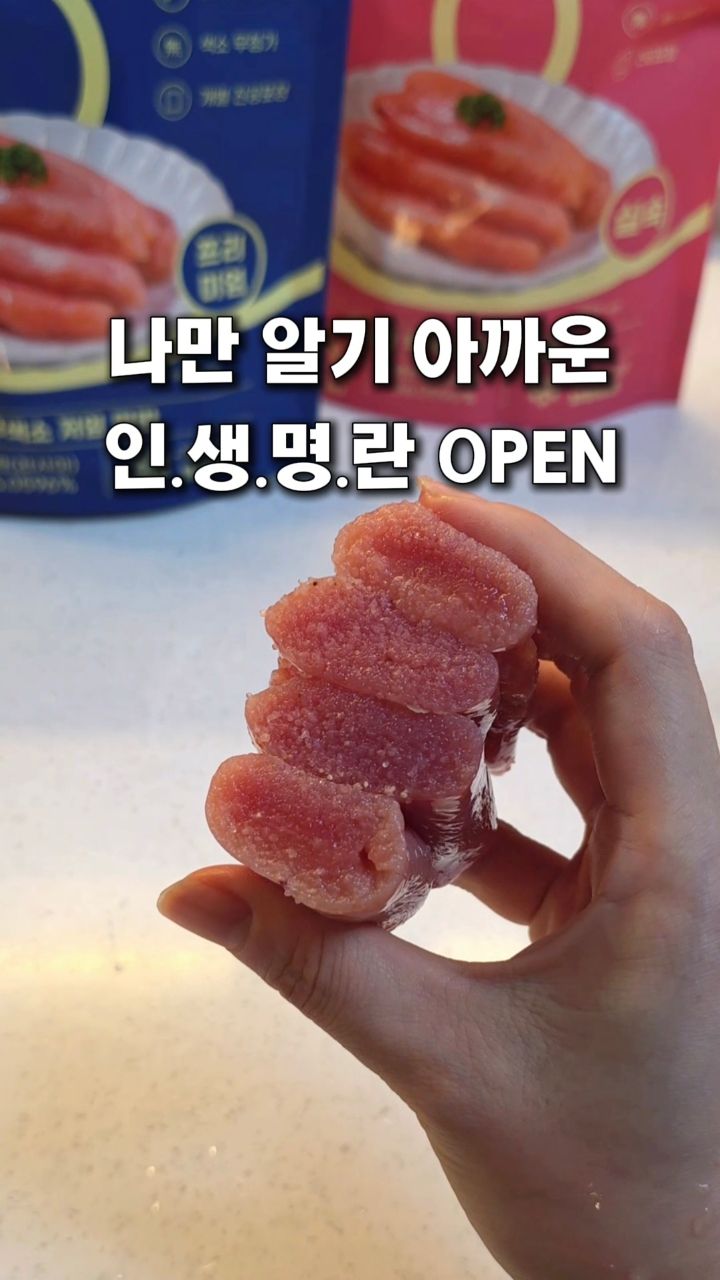 동네책방 지속탐구