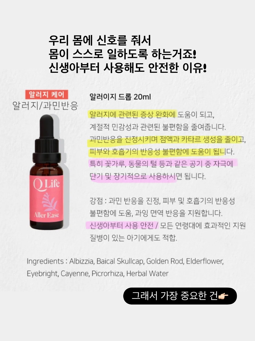 스픽 영어 회화 3
