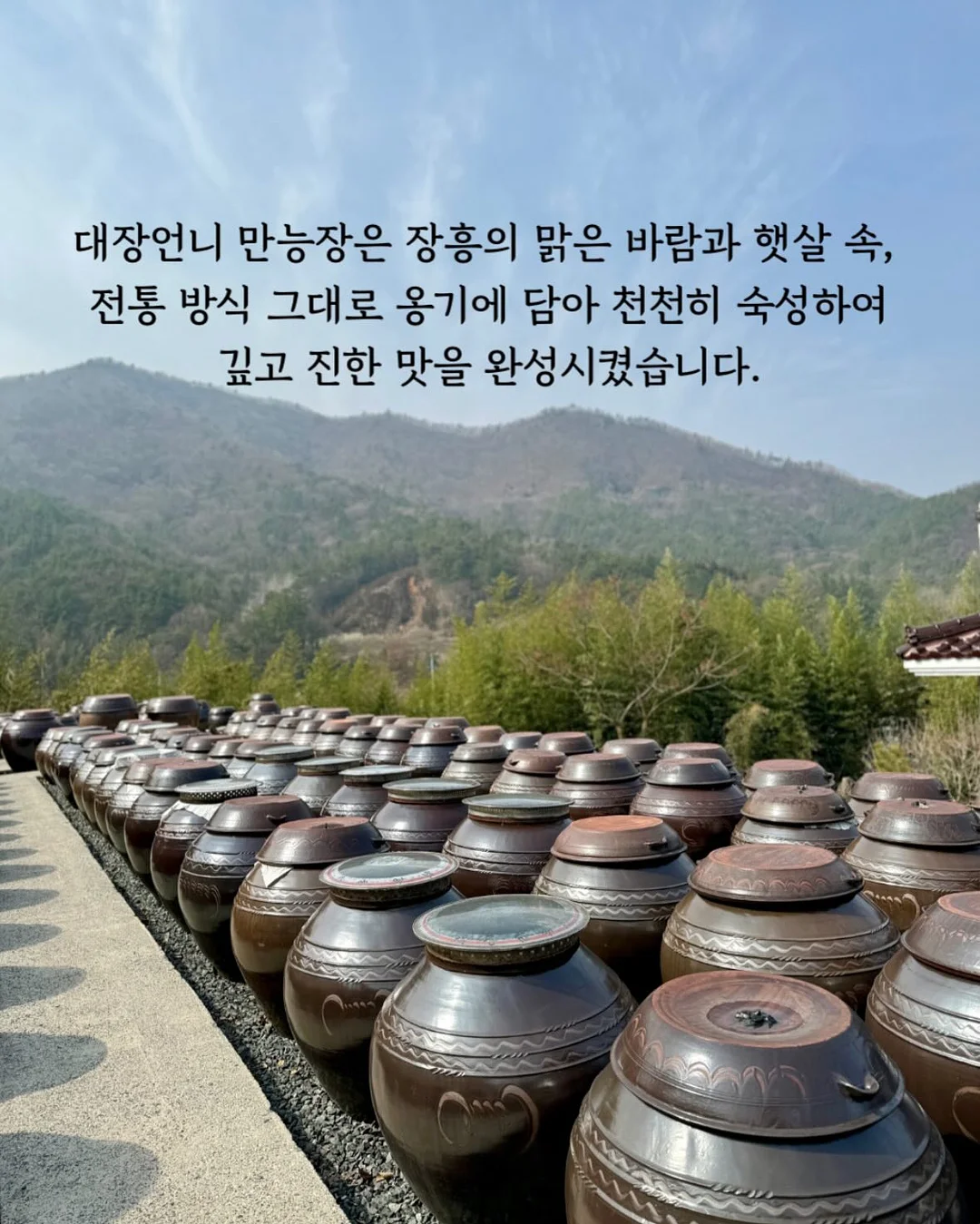 자소서/면접/취업/진로코칭 2
